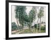 Alley of Poplars Along the Loing, 1892-Alfred Sisley-Framed Giclee Print