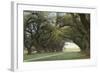 Alley of the Oaks-William Guion-Framed Giclee Print