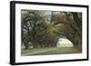 Alley of the Oaks-William Guion-Framed Giclee Print