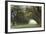 Alley of the Oaks-William Guion-Framed Giclee Print