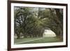 Alley of the Oaks-William Guion-Framed Giclee Print