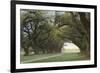 Alley of the Oaks-William Guion-Framed Giclee Print