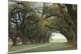 Alley of the Oaks-William Guion-Mounted Giclee Print