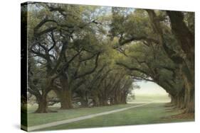 Alley of the Oaks-William Guion-Stretched Canvas