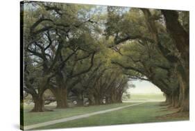 Alley of the Oaks-William Guion-Stretched Canvas