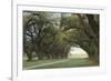 Alley of the Oaks-William Guion-Framed Art Print