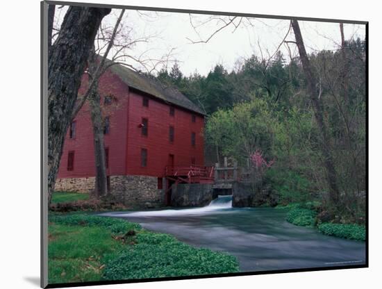 Alley Spring Mill near Eminence, Missouri, USA-Gayle Harper-Mounted Photographic Print