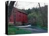 Alley Spring Mill near Eminence, Missouri, USA-Gayle Harper-Stretched Canvas