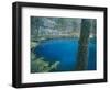 Alley Spring, Ozark National Scenic Riverways, Missouri, USA-Charles Gurche-Framed Photographic Print