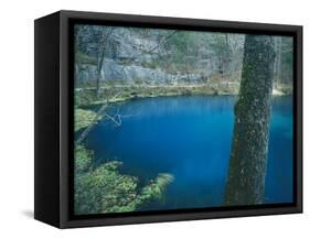 Alley Spring, Ozark National Scenic Riverways, Missouri, USA-Charles Gurche-Framed Stretched Canvas