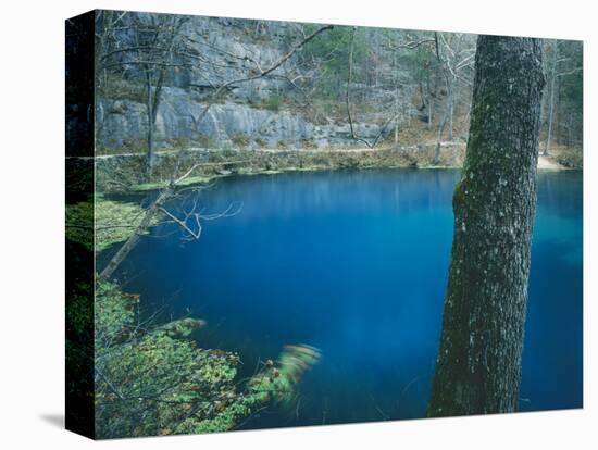 Alley Spring, Ozark National Scenic Riverways, Missouri, USA-Charles Gurche-Stretched Canvas