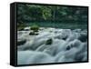 Alley Springs, Ozark National Scenic Riverways, Missouri, USA-Charles Gurche-Framed Stretched Canvas