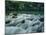 Alley Springs, Ozark National Scenic Riverways, Missouri, USA-Charles Gurche-Mounted Premium Photographic Print