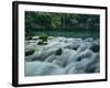 Alley Springs, Ozark National Scenic Riverways, Missouri, USA-Charles Gurche-Framed Photographic Print