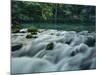 Alley Springs, Ozark National Scenic Riverways, Missouri, USA-Charles Gurche-Mounted Photographic Print