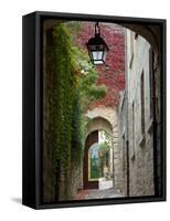 Alley to Garden, Languedoc-Roussillon, France-Lisa S. Engelbrecht-Framed Stretched Canvas