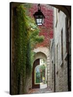 Alley to Garden, Languedoc-Roussillon, France-Lisa S. Engelbrecht-Stretched Canvas