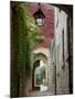 Alley to Garden, Languedoc-Roussillon, France-Lisa S. Engelbrecht-Mounted Premium Photographic Print