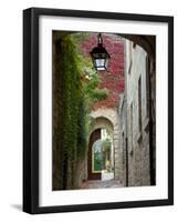 Alley to Garden, Languedoc-Roussillon, France-Lisa S. Engelbrecht-Framed Photographic Print