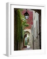 Alley to Garden, Languedoc-Roussillon, France-Lisa S. Engelbrecht-Framed Photographic Print