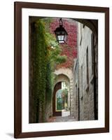 Alley to Garden, Languedoc-Roussillon, France-Lisa S. Engelbrecht-Framed Photographic Print