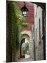 Alley to Garden, Languedoc-Roussillon, France-Lisa S. Engelbrecht-Mounted Photographic Print