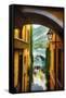 Alley With a Lake View, Bellagio, Lake Como, Italy-George Oze-Framed Stretched Canvas