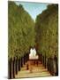 Alleyway in the Park of Saint-Cloud, 1908-Henri Rousseau-Mounted Giclee Print