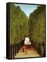 Alleyway in the Park of Saint-Cloud, 1908-Henri Rousseau-Framed Stretched Canvas