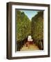 Alleyway in the Park of Saint-Cloud, 1908-Henri Rousseau-Framed Giclee Print