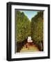 Alleyway in the Park of Saint-Cloud, 1908-Henri Rousseau-Framed Giclee Print