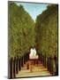 Alleyway in the Park of Saint-Cloud, 1908-Henri Rousseau-Mounted Giclee Print