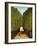 Alleyway in the Park of Saint-Cloud, 1908-Henri Rousseau-Framed Giclee Print