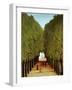 Alleyway in the Park of Saint-Cloud, 1908-Henri Rousseau-Framed Giclee Print