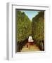 Alleyway in the Park of Saint-Cloud, 1908-Henri Rousseau-Framed Premium Giclee Print