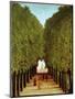 Alleyway in the Park of Saint-Cloud, 1908-Henri Rousseau-Mounted Premium Giclee Print