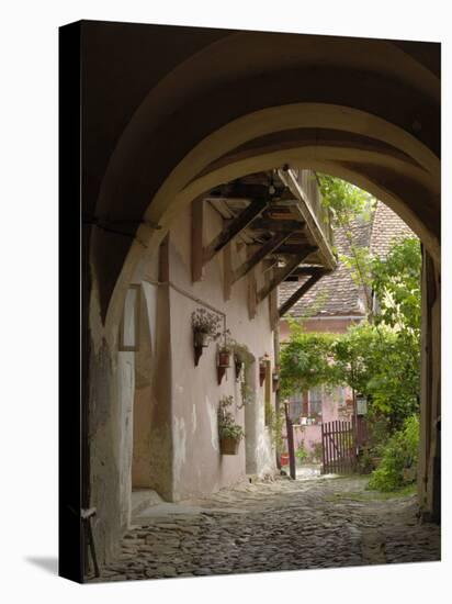 Alleyway, Sighisoara, Transylvania, Romania, Europe-Gary Cook-Stretched Canvas