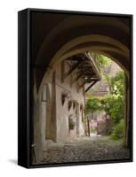 Alleyway, Sighisoara, Transylvania, Romania, Europe-Gary Cook-Framed Stretched Canvas