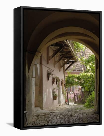 Alleyway, Sighisoara, Transylvania, Romania, Europe-Gary Cook-Framed Stretched Canvas