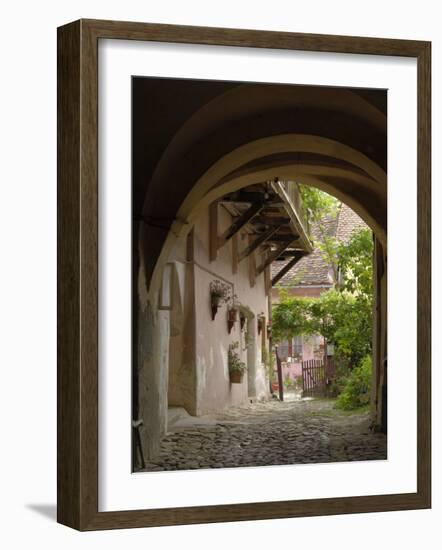 Alleyway, Sighisoara, Transylvania, Romania, Europe-Gary Cook-Framed Photographic Print