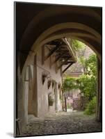 Alleyway, Sighisoara, Transylvania, Romania, Europe-Gary Cook-Mounted Photographic Print