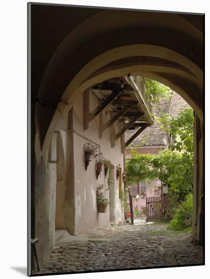 Alleyway, Sighisoara, Transylvania, Romania, Europe-Gary Cook-Mounted Photographic Print