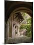 Alleyway, Sighisoara, Transylvania, Romania, Europe-Gary Cook-Mounted Photographic Print