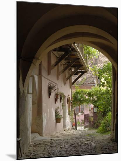 Alleyway, Sighisoara, Transylvania, Romania, Europe-Gary Cook-Mounted Photographic Print