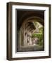 Alleyway, Sighisoara, Transylvania, Romania, Europe-Gary Cook-Framed Photographic Print