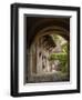 Alleyway, Sighisoara, Transylvania, Romania, Europe-Gary Cook-Framed Photographic Print