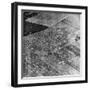 Allied Airborne Army Parachutes in Holland; Second World War-null-Framed Photographic Print