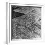 Allied Airborne Army Parachutes in Holland; Second World War-null-Framed Photographic Print