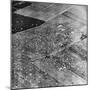 Allied Airborne Army Parachutes in Holland; Second World War-null-Mounted Photographic Print