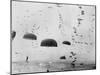 Allied Aircraft Drop Paratroopers into German Held Netherlands-null-Mounted Photo